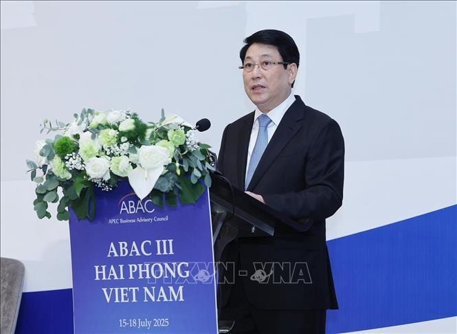 Chủ tịch nước Lương Cường: Những sáng kiến từ ABAC là động lực cho sự phát triển bền vững của khu vực - ảnh 3