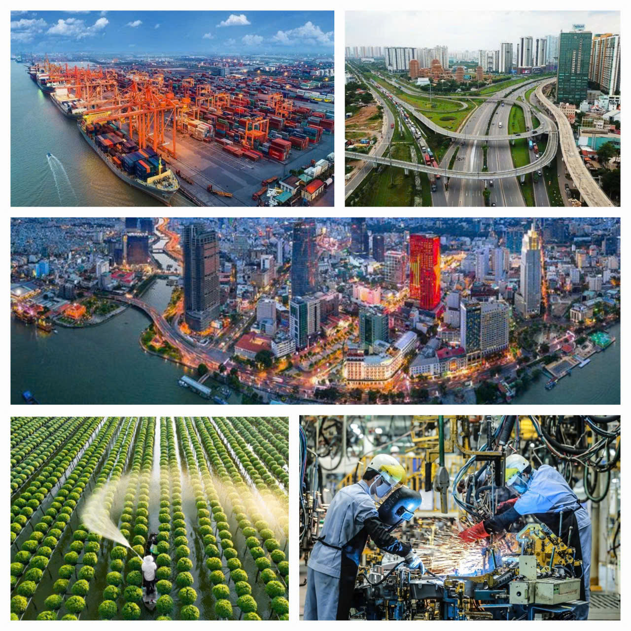 Việt Nam nhất định sẽ phát triển văn minh, hùng cường, thịnh vượng - ảnh 1