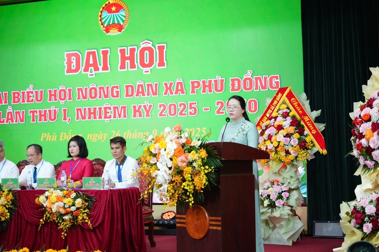 Phát huy vai trò tổ chức Hội thực hiện mục tiêu xây dựng xã Phù Đổng “xanh, văn minh, hiện đại” - ảnh 4