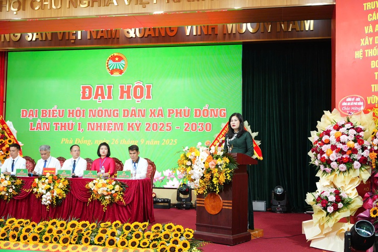 Phát huy vai trò tổ chức Hội thực hiện mục tiêu xây dựng xã Phù Đổng “xanh, văn minh, hiện đại” - ảnh 5