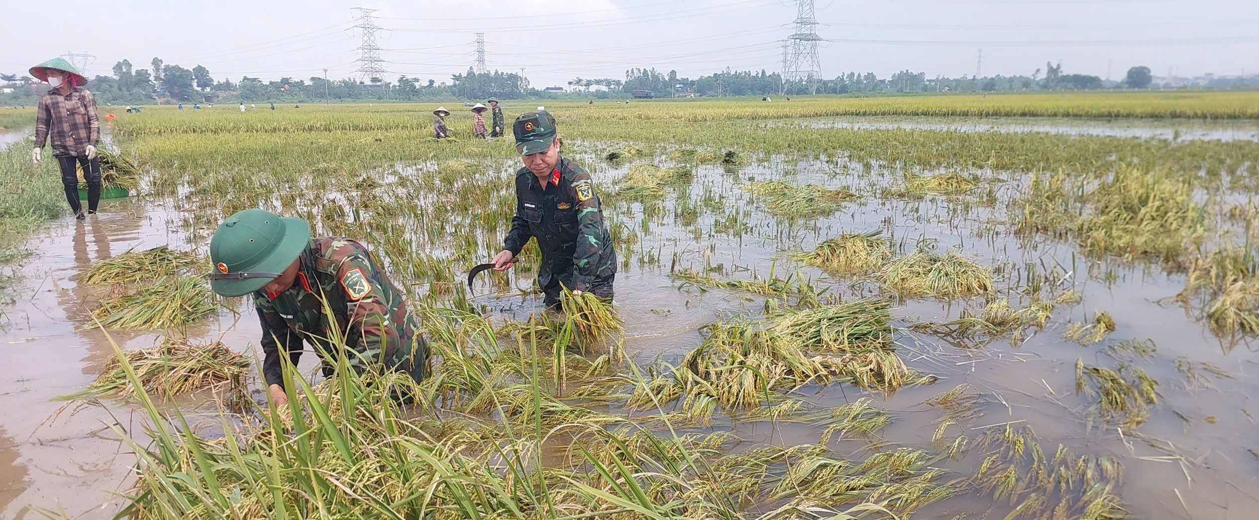 Chủ tịch UBND thành phố Hà Nội kiểm tra công tác phòng, chống lũ tại xã Trung Giã và Đa Phúc - ảnh 6