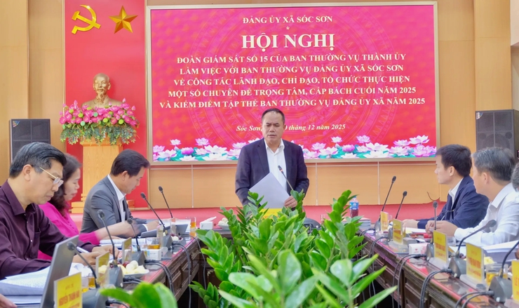 Đoàn giám sát số 15 của Ban Thường vụ Thành ủy Hà Nội làm việc với xã Sóc Sơn - ảnh 1