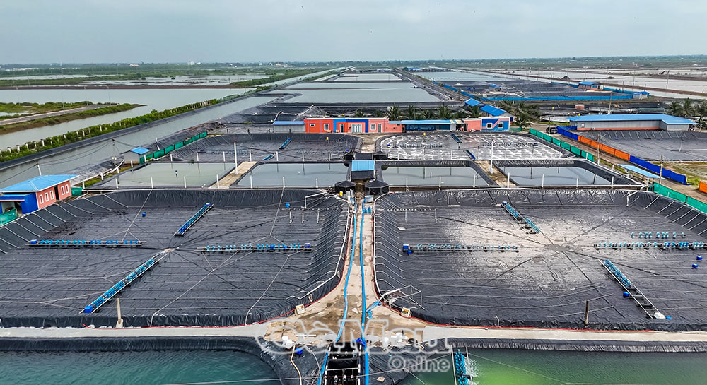 Huy động hiệu quả nguồn lực, phát huy tiềm năng, lợi thế thúc đẩy kinh tế phát triển nhanh, bền vững - ảnh 5