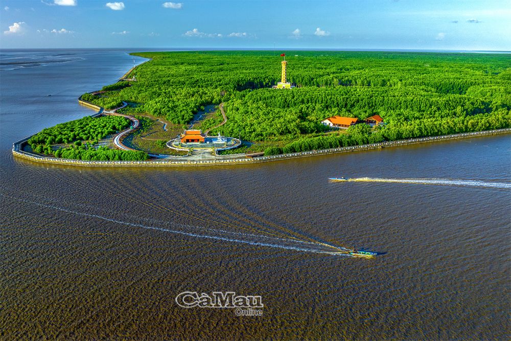 Huy động hiệu quả nguồn lực, phát huy tiềm năng, lợi thế thúc đẩy kinh tế phát triển nhanh, bền vững - ảnh 1