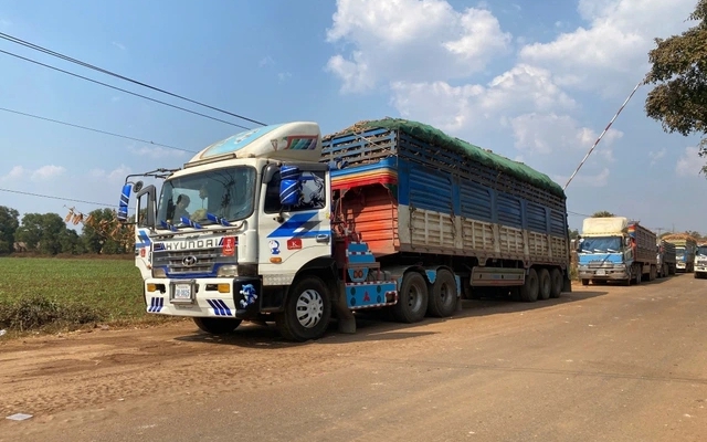 Thủ tướng chỉ đạo tháo gỡ vướng mắc trong triển khai Nghị định 46/2026/NĐ-CP về an toàn thực phẩm - ảnh 1