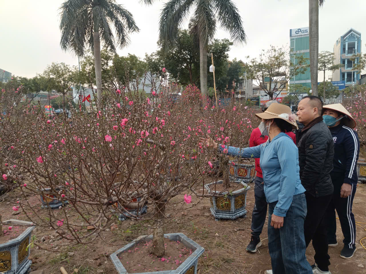 Người dân Hà Nội mang hương sắc xuân về cho gia đình - ảnh 2