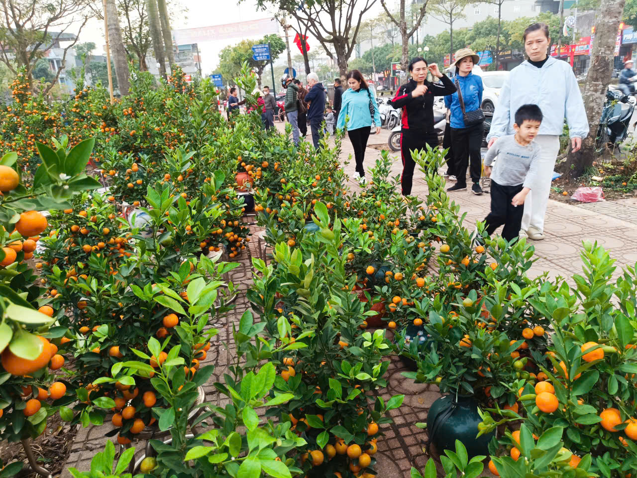 Người dân Hà Nội mang hương sắc xuân về cho gia đình - ảnh 10