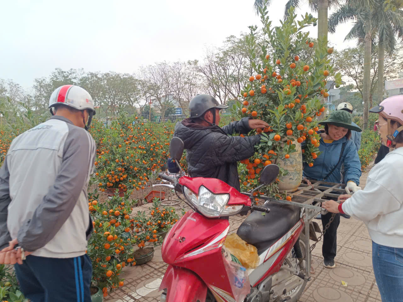 Người dân Hà Nội mang hương sắc xuân về cho gia đình - ảnh 9