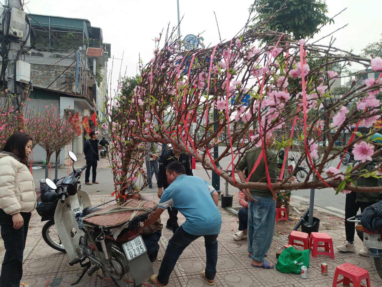 Người dân Hà Nội mang hương sắc xuân về cho gia đình - ảnh 7