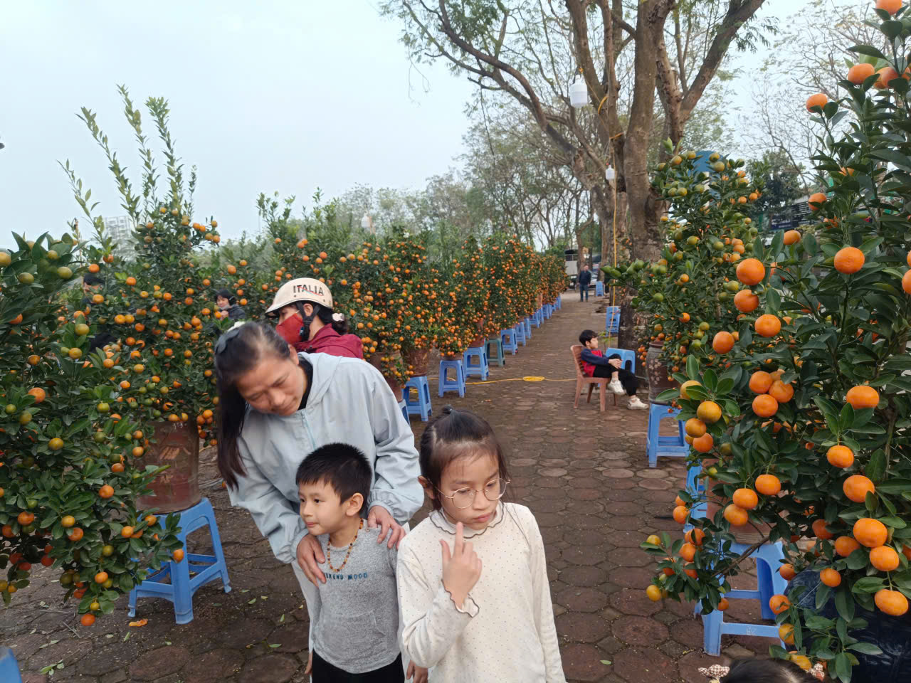 Người dân Hà Nội mang hương sắc xuân về cho gia đình - ảnh 5