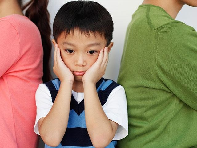Xúi giục con nhỏ xúc phạm mẹ kế có vi phạm pháp luật? - ảnh 1