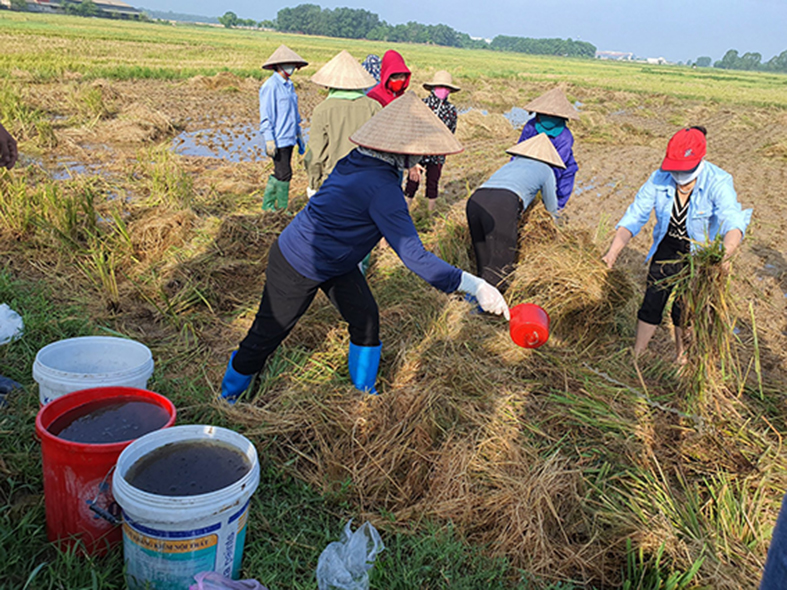 Bảo vệ môi trường bằng mô hình phân loại và xử lý rác thải tại nguồn - ảnh 1