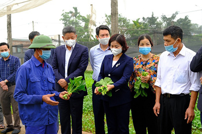 Phát triển nông thôn Hà Nội thành miền quê đáng sống - ảnh 1
