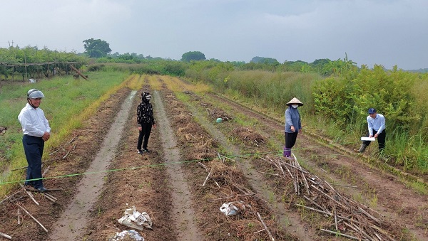 Kỳ 2: Đẩy nhanh tiến độ nhờ chủ trương đúng, thuận lòng dân - ảnh 1
