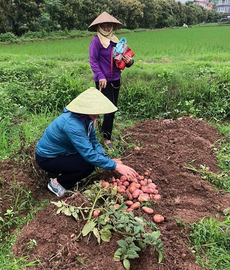 Phát triển nhờ các mô hình kinh tế tập thể - ảnh 1