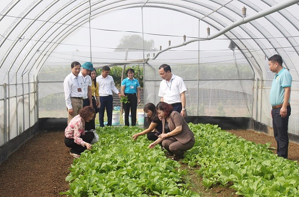 Liên kết tạo việc làm và thu nhập cho phụ nữ - ảnh 1