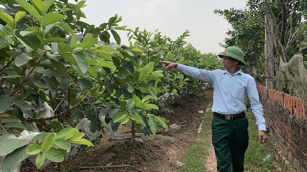 Kỳ cuối: Hướng đến mục tiêu sớm bàn giao mặt bằng vào cuối năm nay - ảnh 1