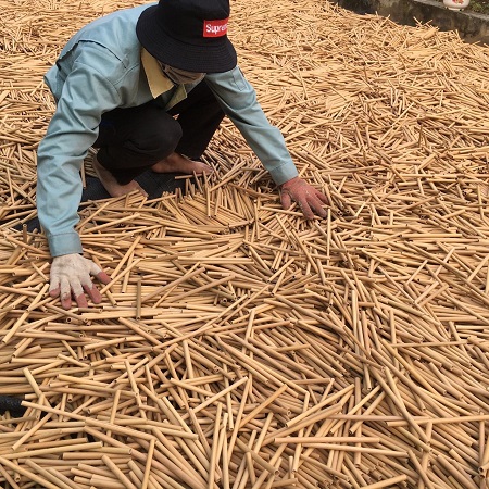 Kỳ 3: Lan toả nhiều sáng kiến vì môi trường