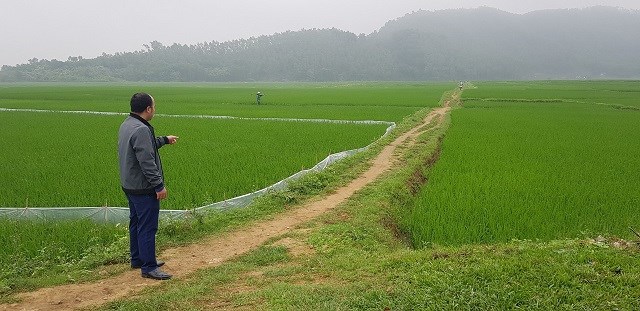 Kỳ 4: Gỡ những dự án “treo” - Đâu là lời giải cho bài toán khó? - ảnh 1