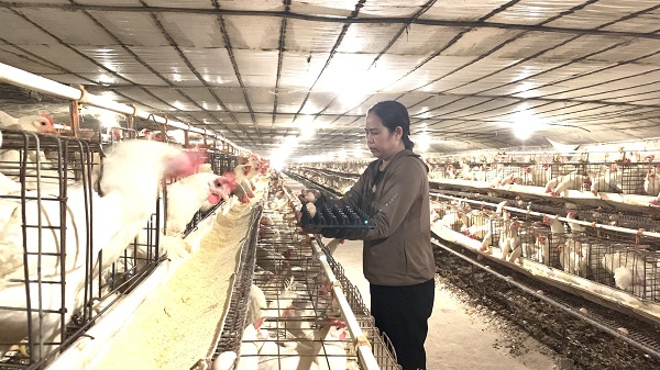 Cần đảm bảo quyền lợi chính đáng cho người dân - ảnh 2