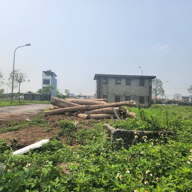 Hàng nghìn người dân 20 năm mòn mỏi chờ giao đất dịch vụ - ảnh 1