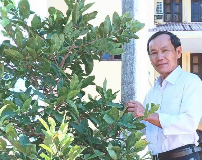 Tuổi già càng ít dựa con càng tốt? - ảnh 2