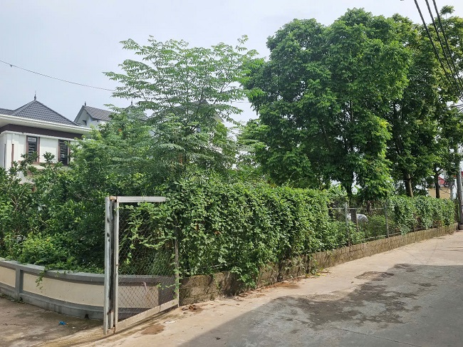 “Hô biến” hơn 660m2 đất công thành đất tư, chính quyền xã làm ngơ? - ảnh 1