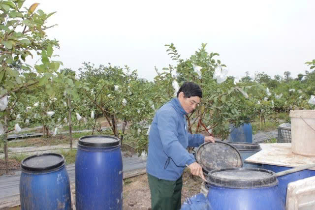 Hà Nội hướng tới nông nghiệp sinh thái, đa giá trị - ảnh 3