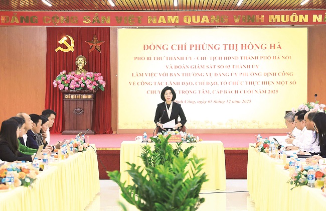 Dấu ấn đổi mới, trách nhiệm và hiệu quả của cơ quan dân cử - ảnh 4