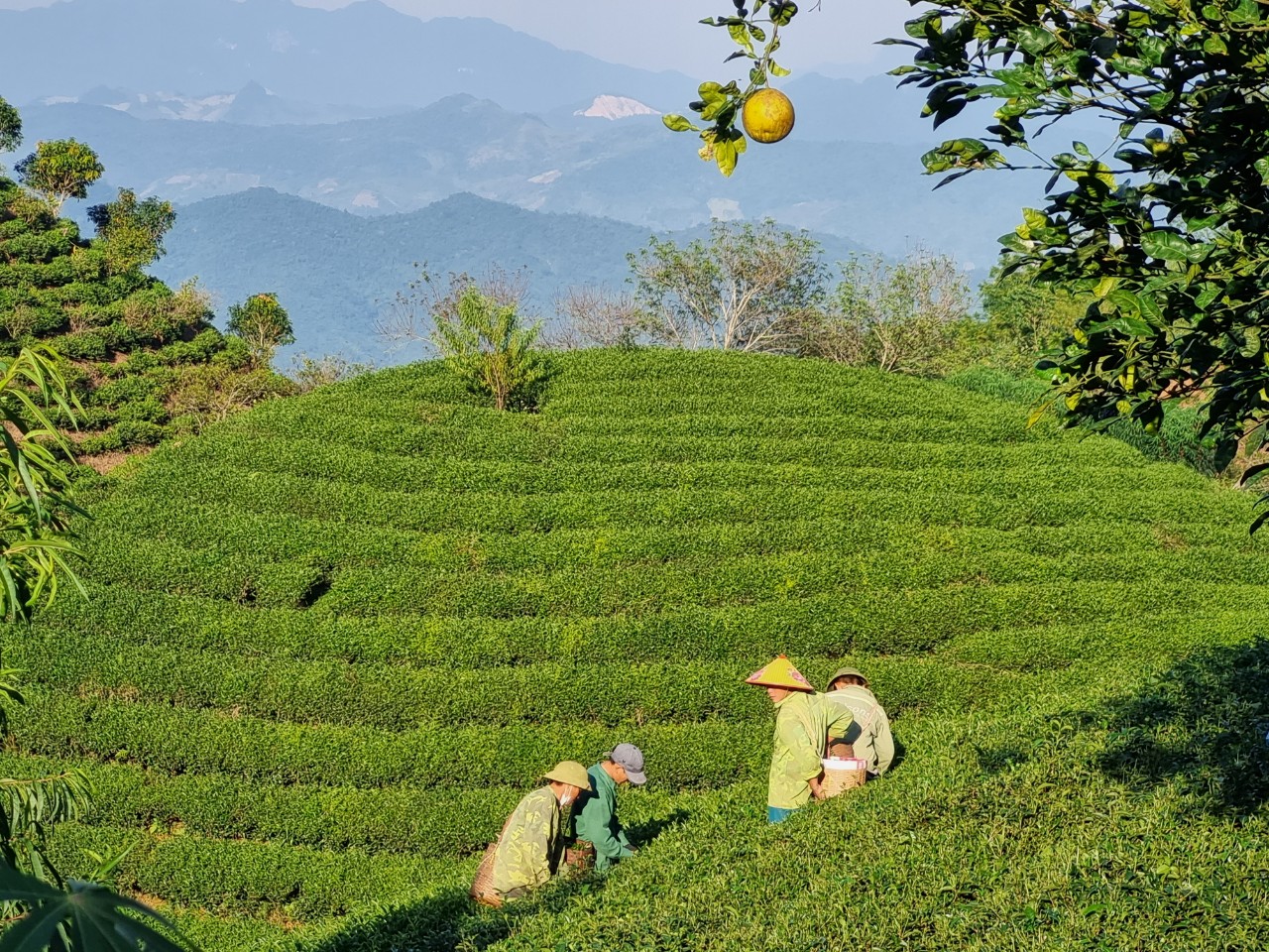 Bài 2: Phát huy thế mạnh du lịch cộng đồng - ảnh 14