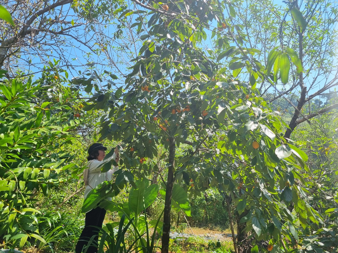 Bài 2: Phát huy thế mạnh du lịch cộng đồng - ảnh 17