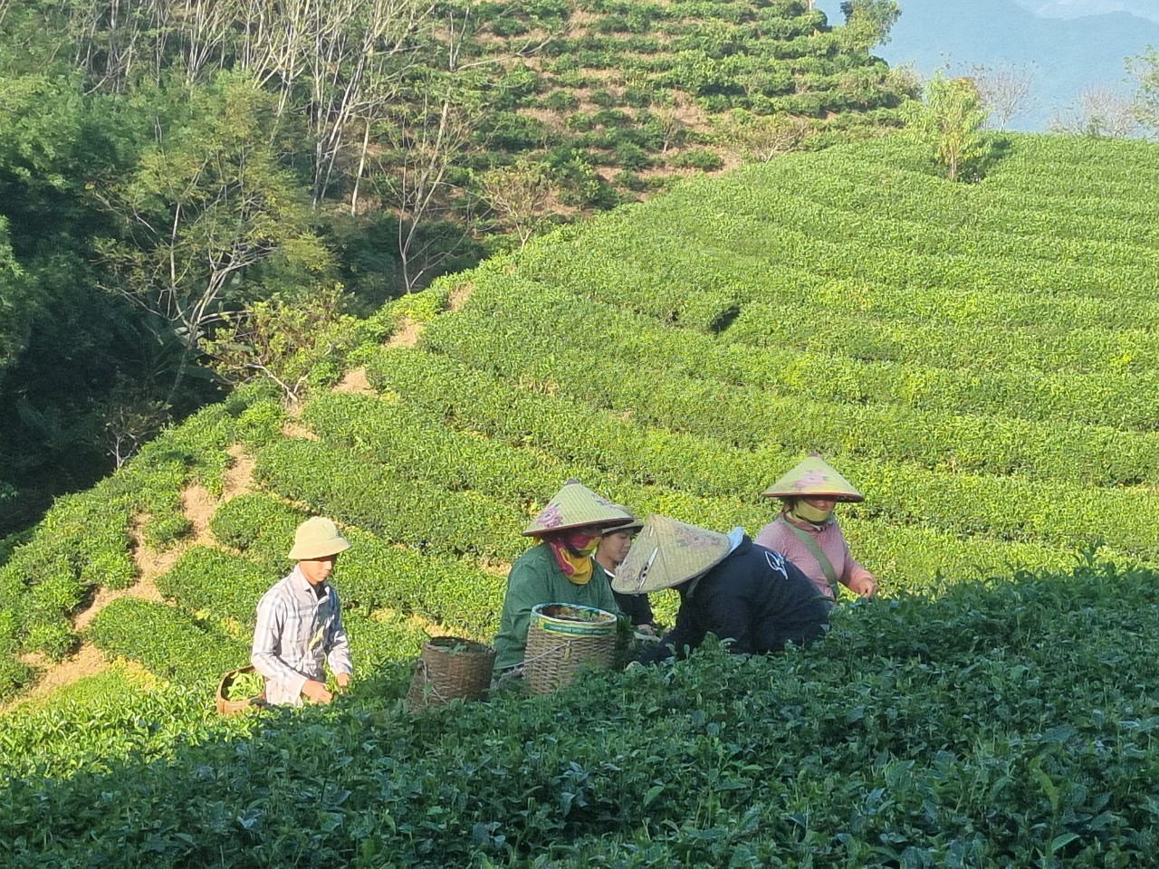 Bài 2: Phát huy thế mạnh du lịch cộng đồng - ảnh 15