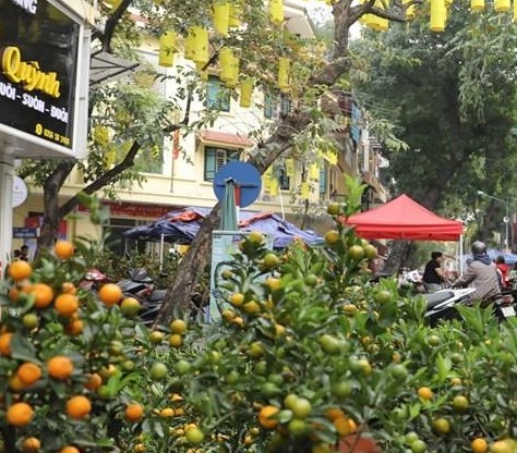 Chợ hoa vắng khách ngày giáp Tết - ảnh 3