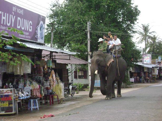 Chấm dứt hoàn toàn du lịch cưỡi voi tại Buôn Đôn - ảnh 1