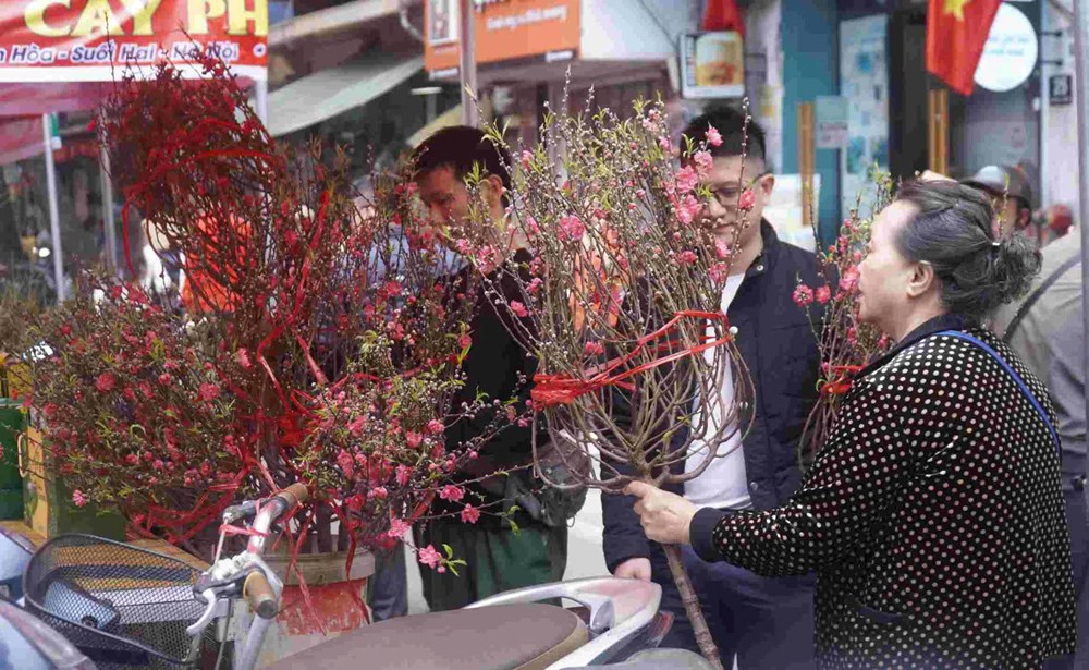 Rộn ràng Chợ hoa Xuân Phố cổ 2026  - ảnh 17