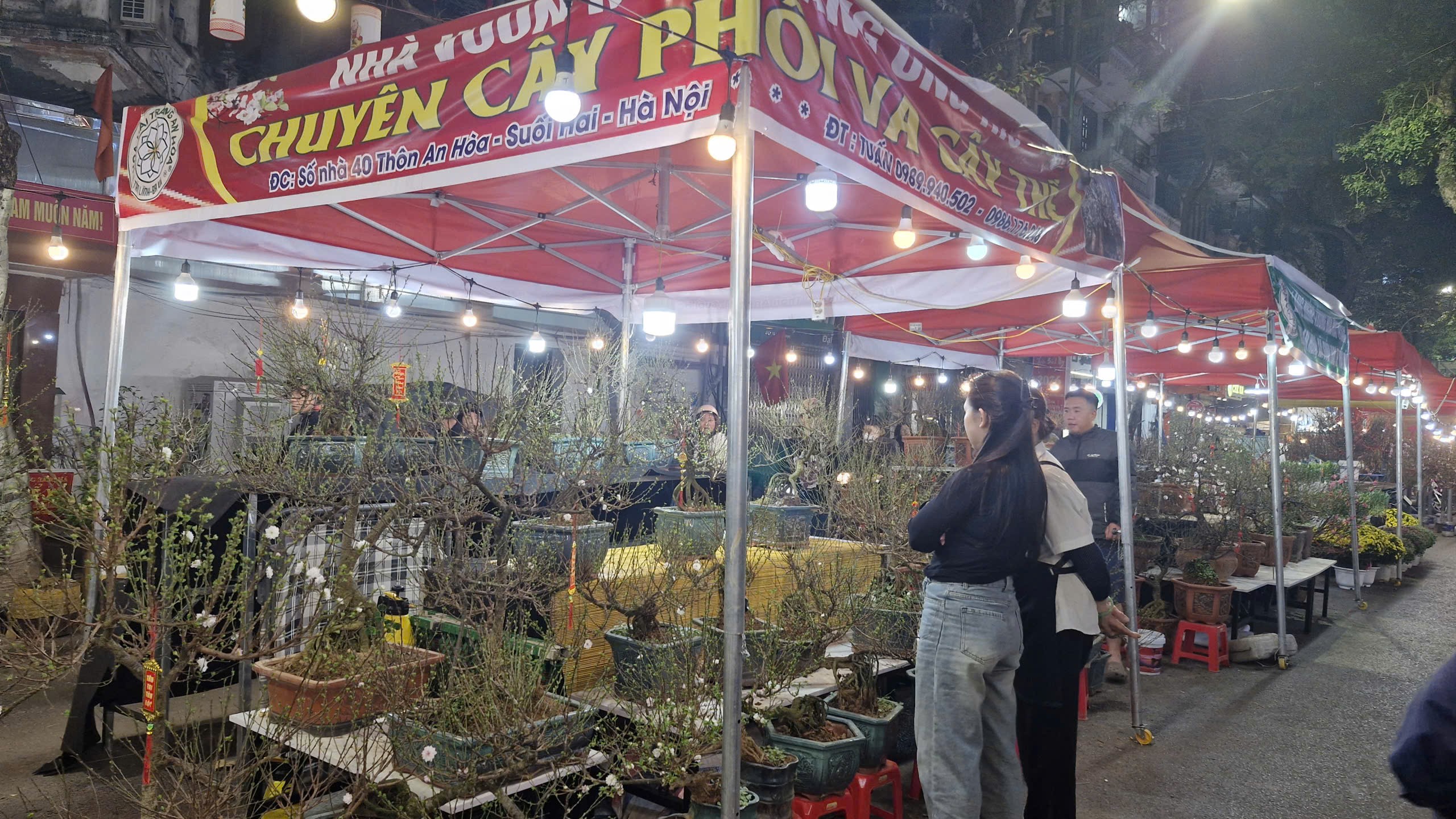 Rộn ràng Chợ hoa Xuân Phố cổ 2026  - ảnh 11