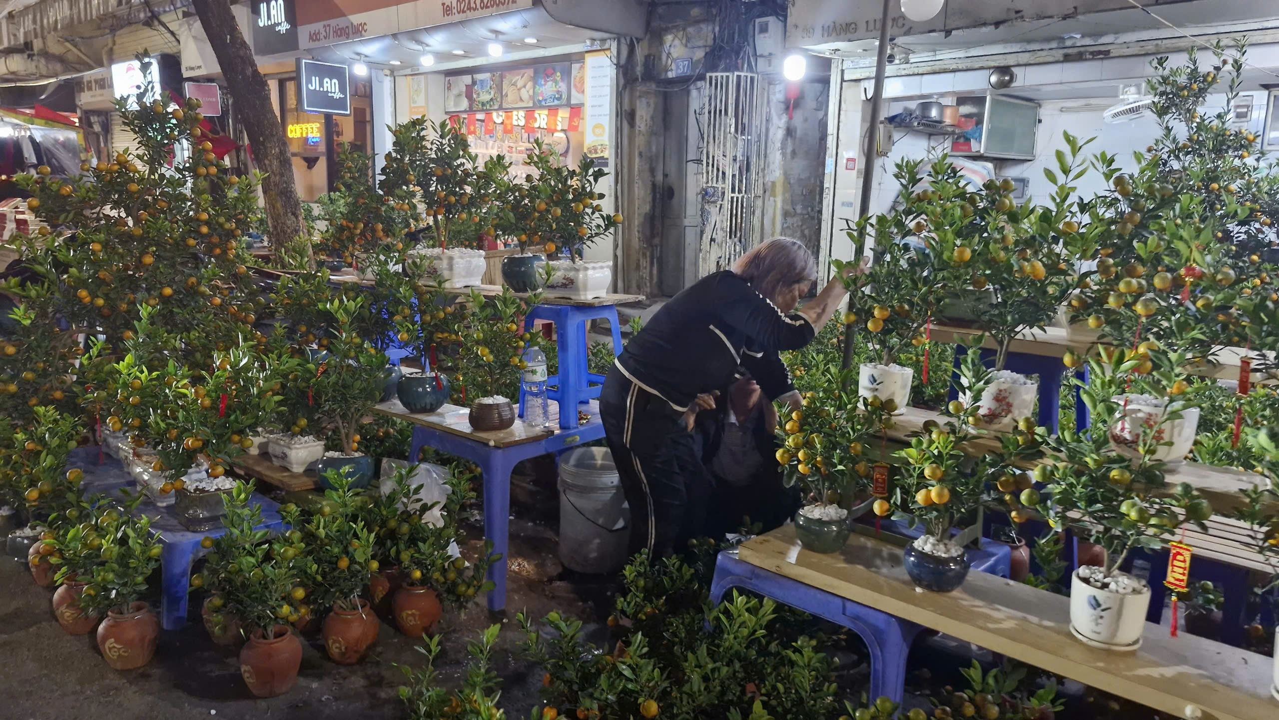 Rộn ràng Chợ hoa Xuân Phố cổ 2026  - ảnh 10