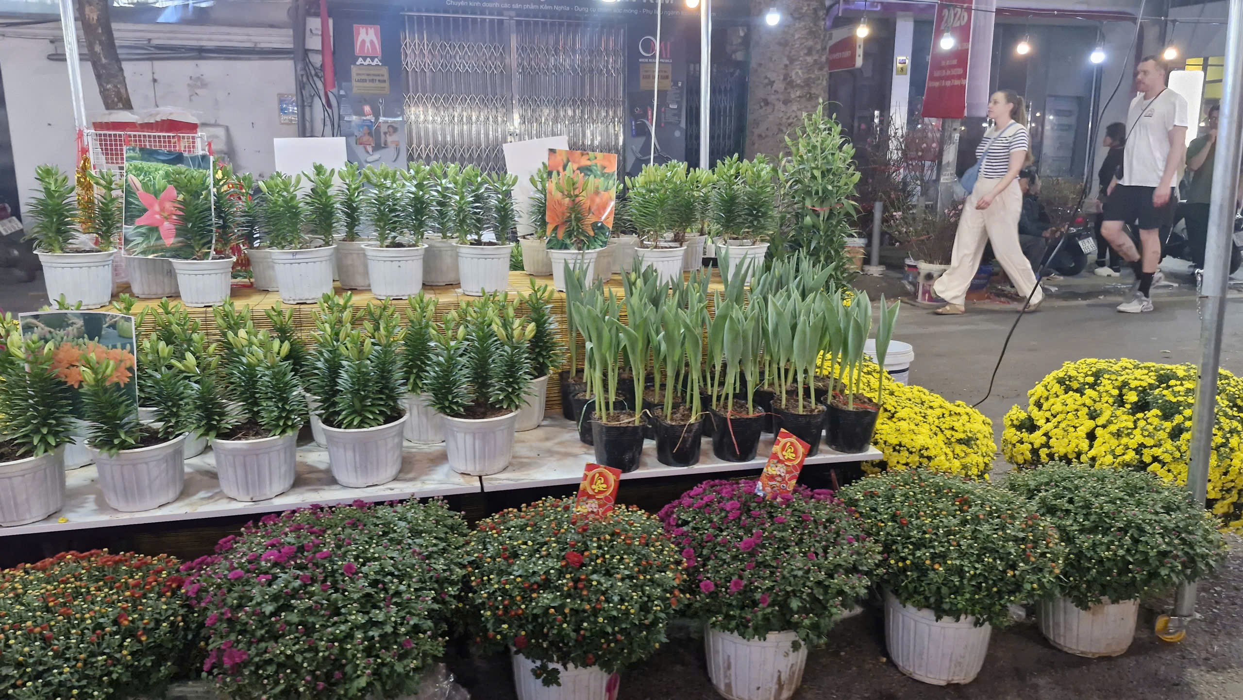 Rộn ràng Chợ hoa Xuân Phố cổ 2026  - ảnh 12