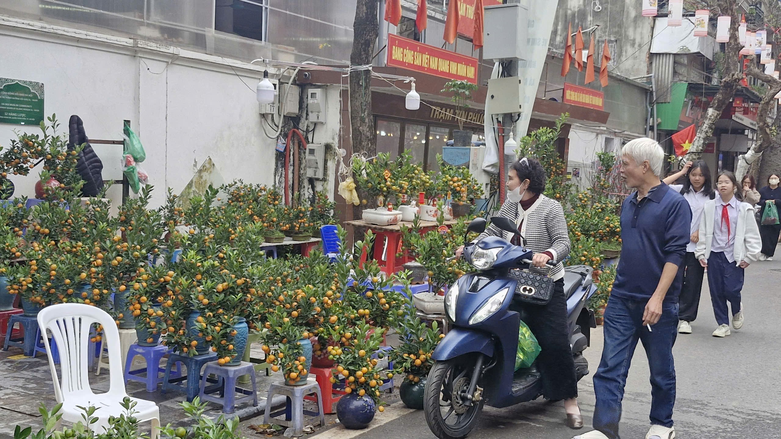 Rộn ràng phố cổ đón Xuân sang - ảnh 7