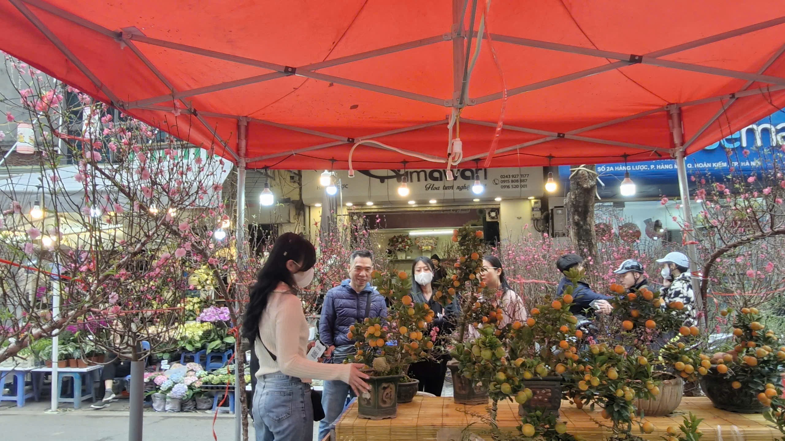 Rộn ràng phố cổ đón Xuân sang - ảnh 8