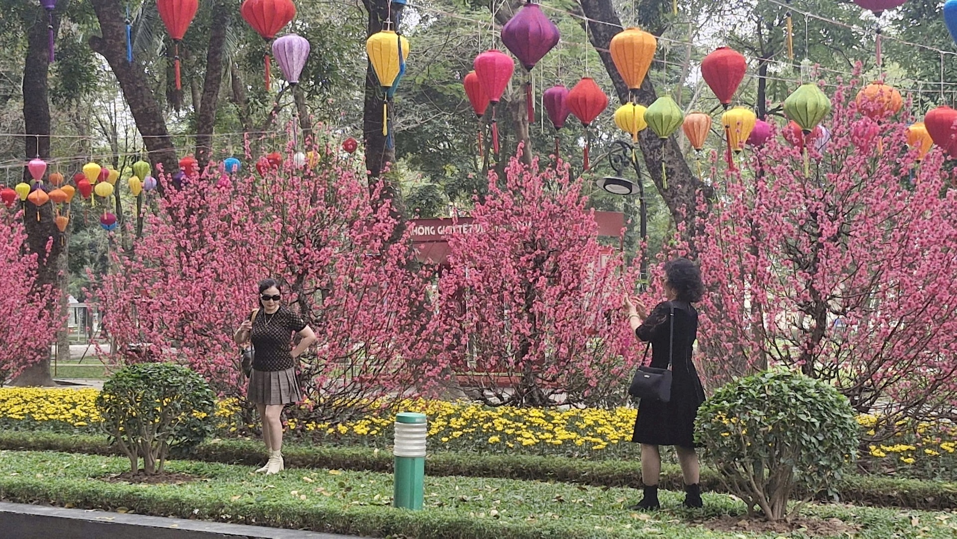 Công viên Thống Nhất hứa hẹn là một không gian văn hóa sáng tạo - ảnh 5