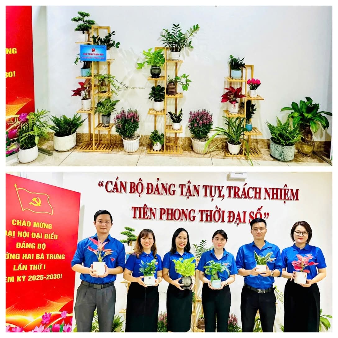 Phường Hai Bà Trưng xây dựng không gian sống xanh - sạch - đẹp - ảnh 1