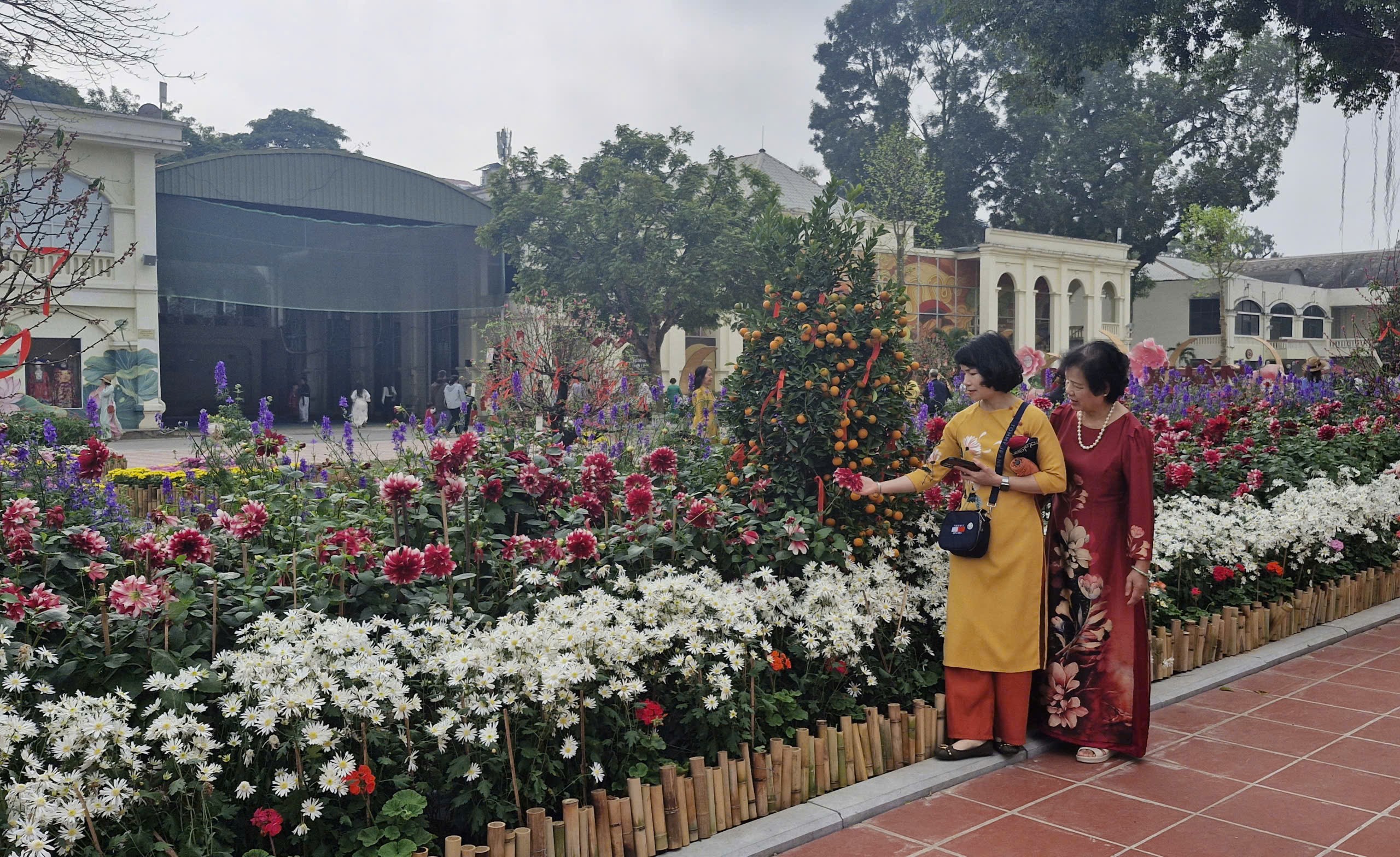 Hoàng Thành Thăng Long tiếp tục hút khách du xuân - ảnh 1