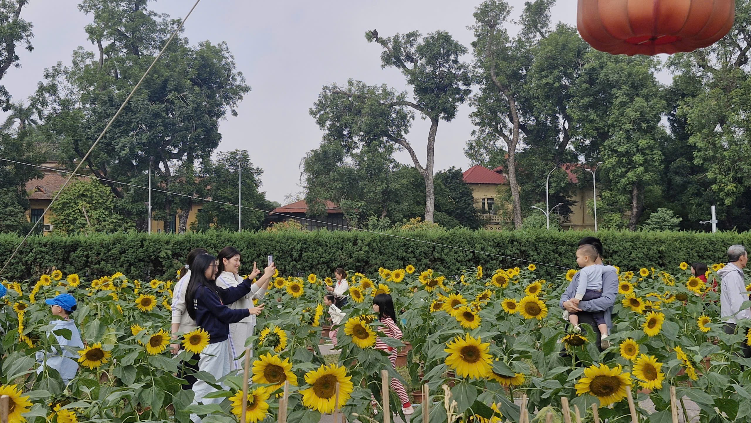 Hoàng Thành Thăng Long tiếp tục hút khách du xuân - ảnh 2