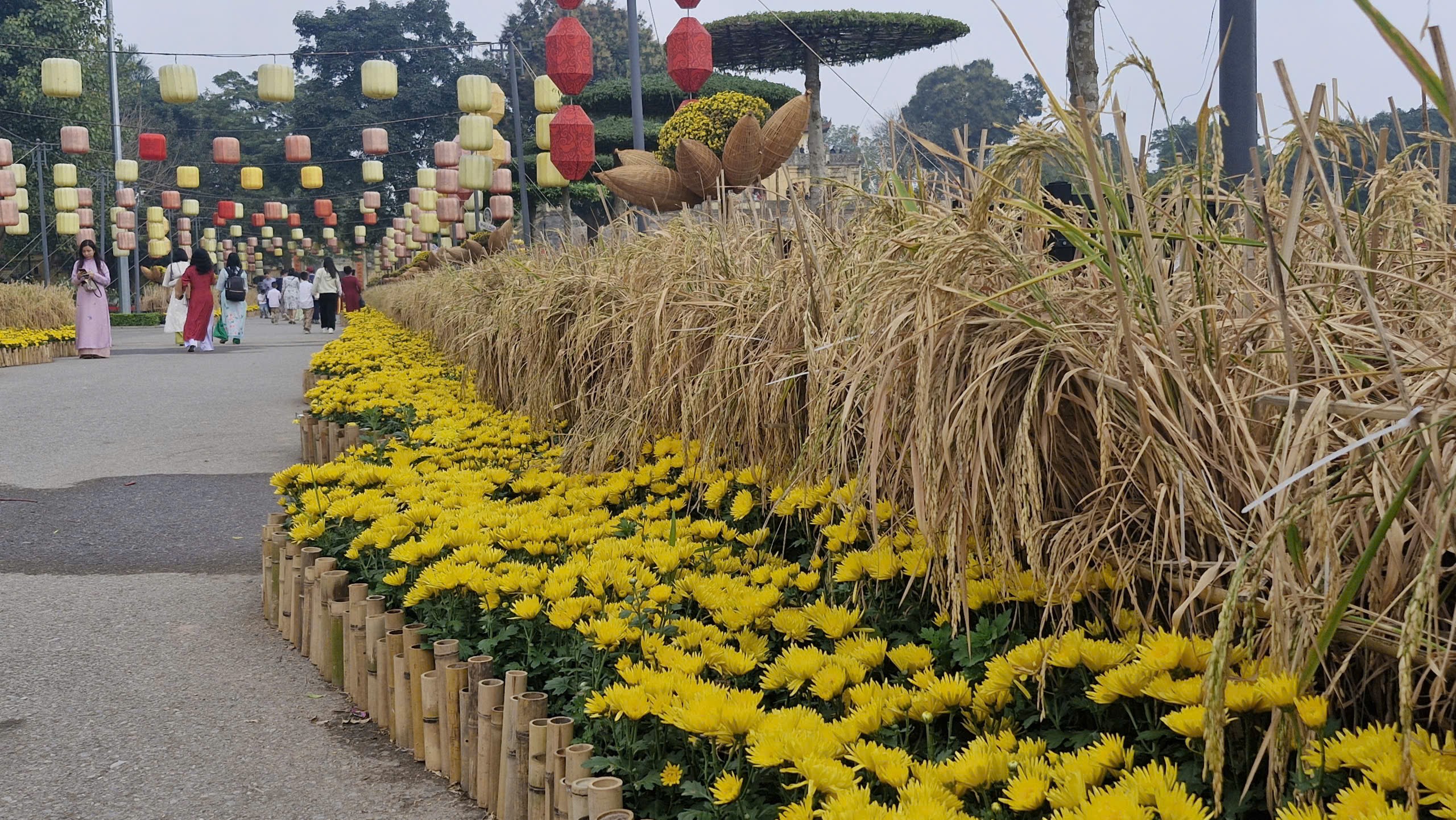 Hoàng Thành Thăng Long tiếp tục hút khách du xuân - ảnh 4