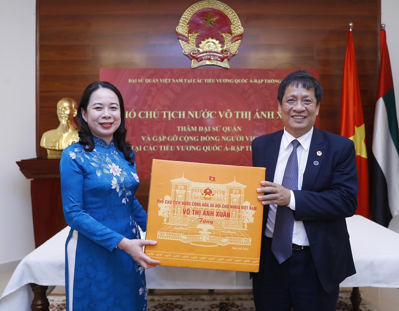 Phó Chủ tịch nước Võ Thị Ánh Xuân làm việc với các tập đoàn kinh tế và gặp gỡ cộng đồng người Việt tại UAE - ảnh 2