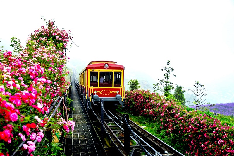 Lào Cai hợp tác phát triển du lịch với Hà Nội và các tỉnh Tây Bắc, doanh nghiệp ưu đãi lớn - ảnh 2