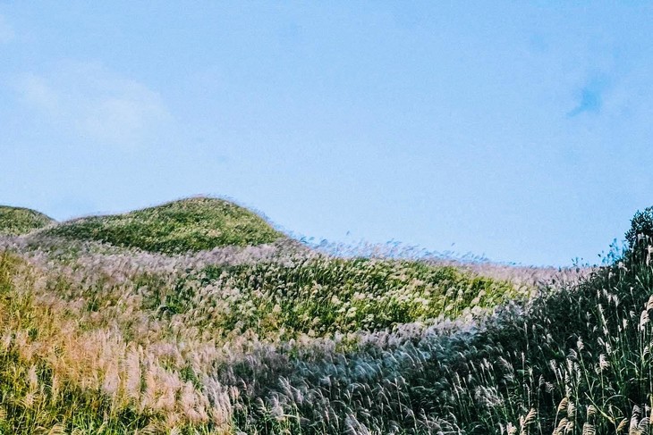 Những trải nghiệm du lịch chất nhất ở Quảng Ninh mùa thu đông này - Ảnh 2. Những trải nghiệm du lịch chất nhất ở Quảng Ninh mùa thu đông này - Ảnh 2.