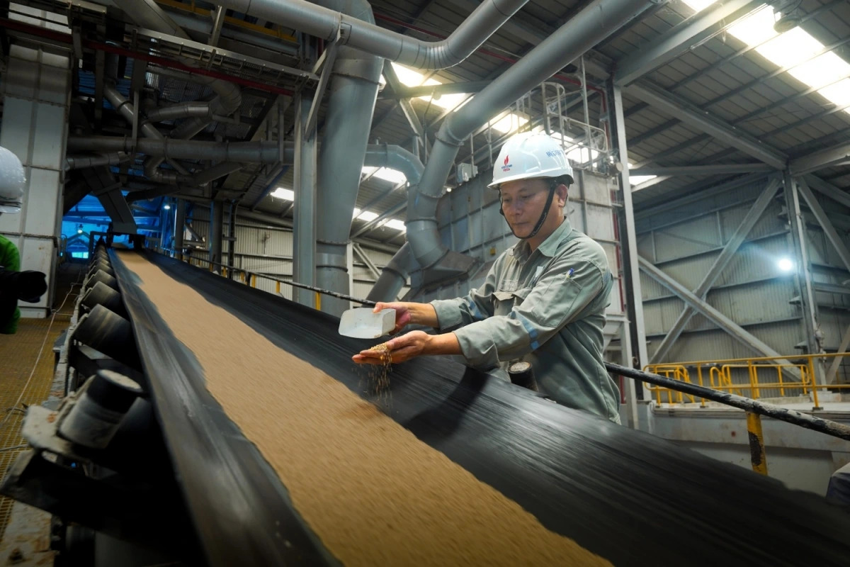 pvfcco phu my 21 nam ben bi truyen thong sang tao, gan ket va se chia hinh anh 4