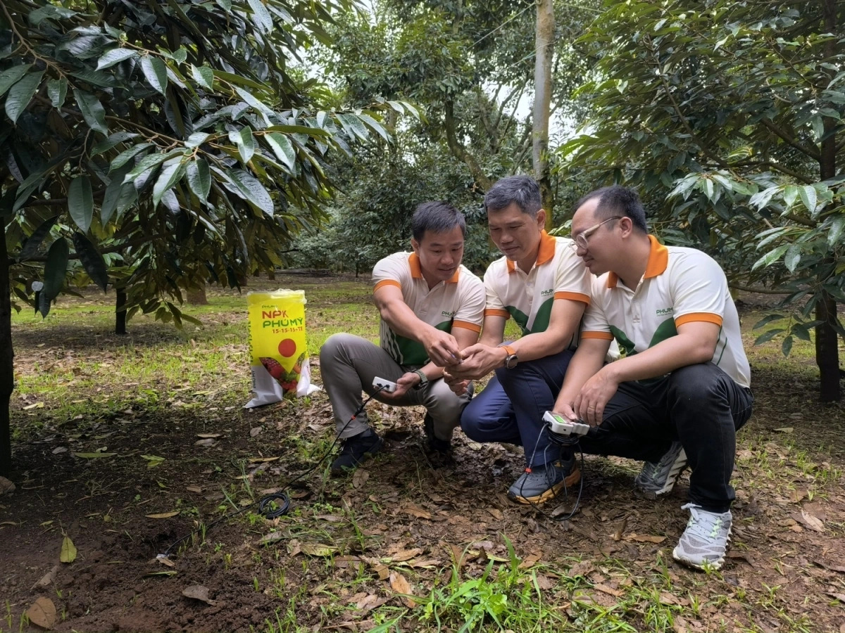 pvfcco phu my 21 nam ben bi truyen thong sang tao, gan ket va se chia hinh anh 5